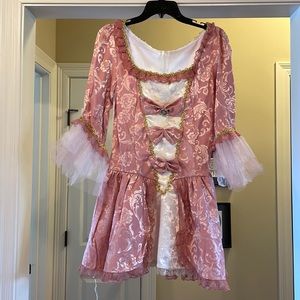 Marie Antoinette Halloween Costume